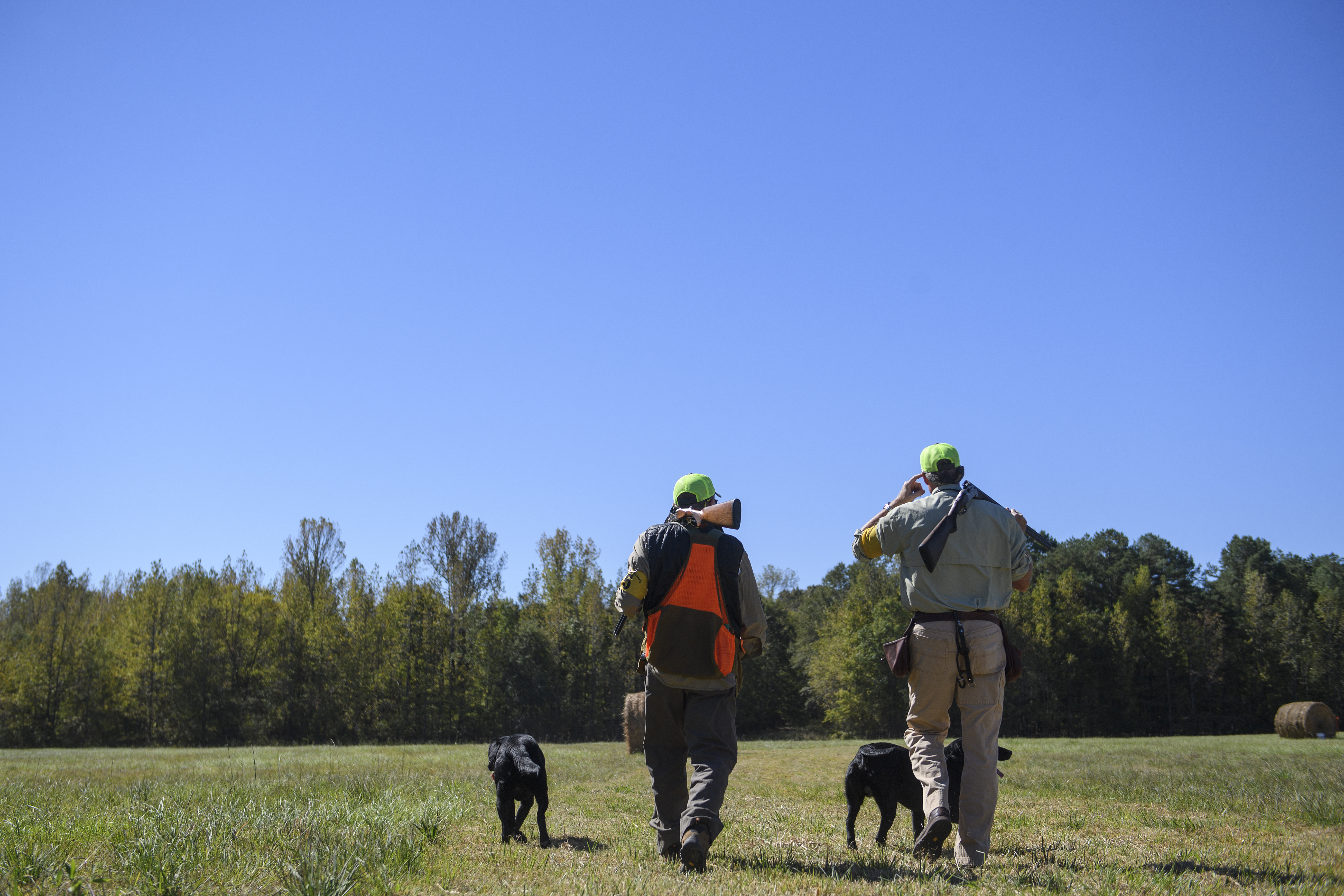 Why the world's best dogs are trained in Oxford, Mississippi Oxford