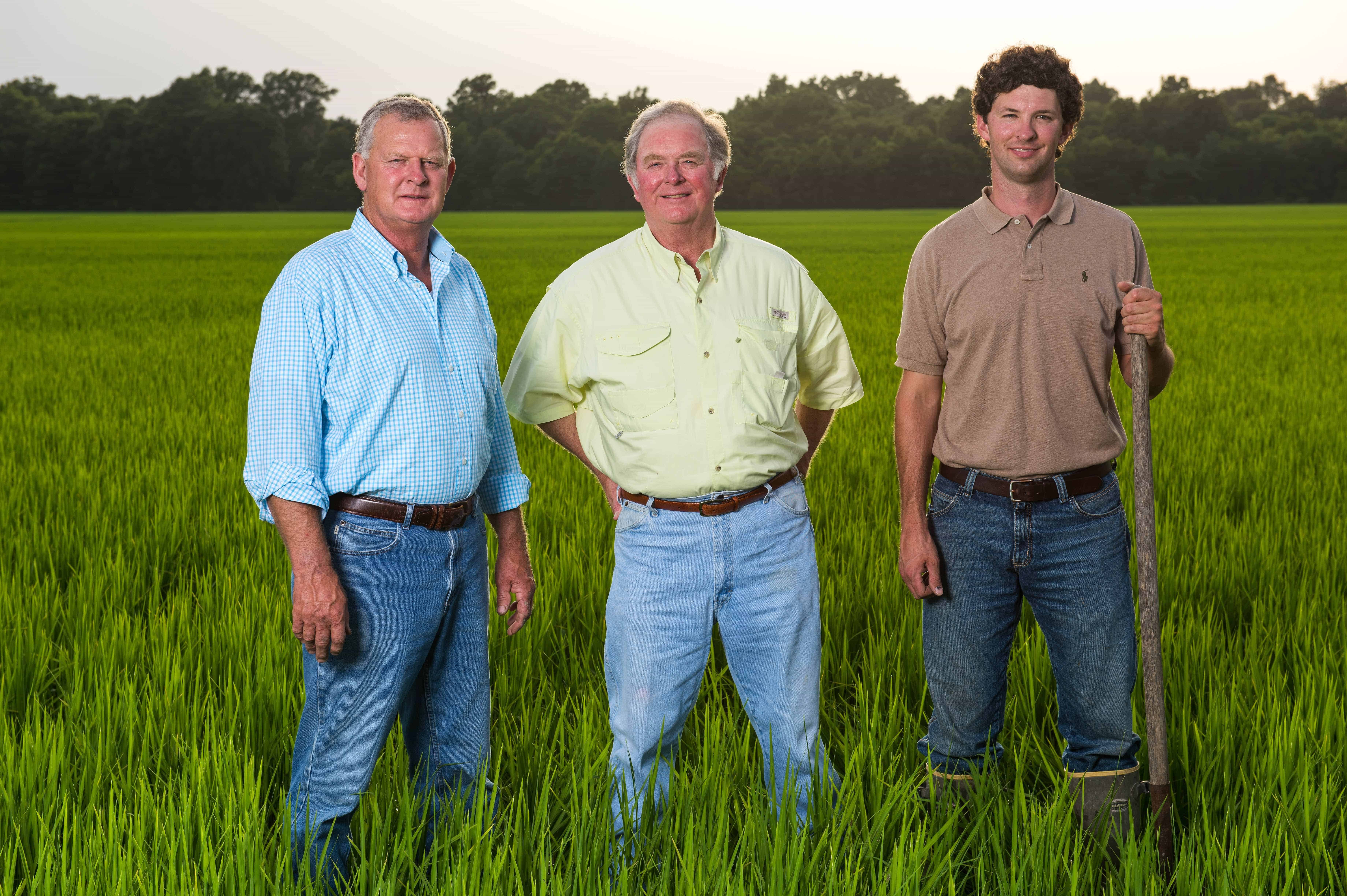 A Mississippi family’s niche-market concept behind Delta Blues Rice Company