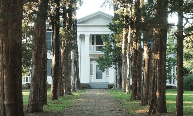 A Mississippi Road Trip