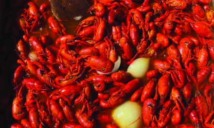 Landshark Seafood & Catfish: Bringing the Bayou to the Heart of North Mississippi
