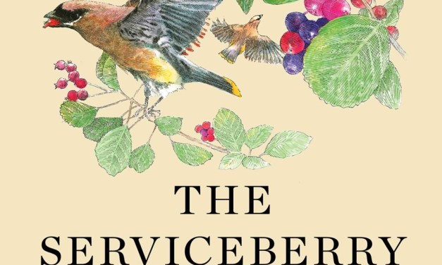 Book Picks 2024