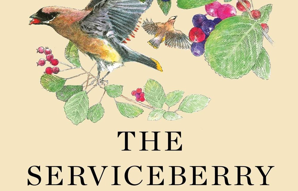 Book Picks 2024