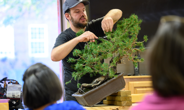 The Art of Bonsai: Zach Adamz and the Natural World